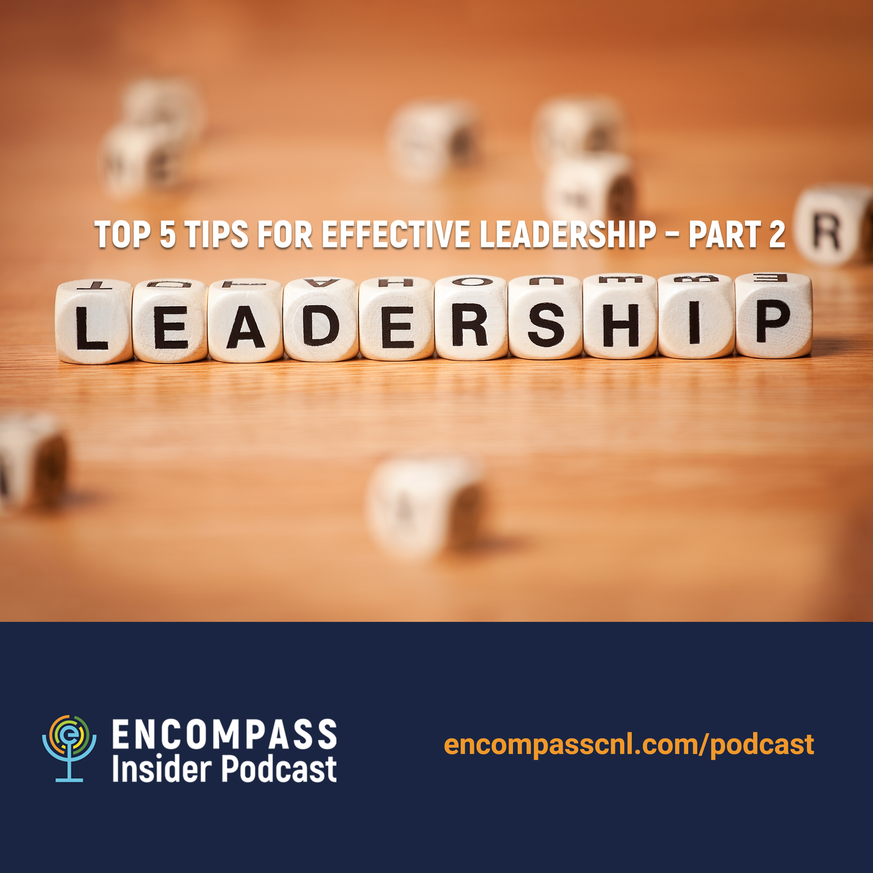 Episode 5: Top 5 Tips for Effective Leadership [Part 2]