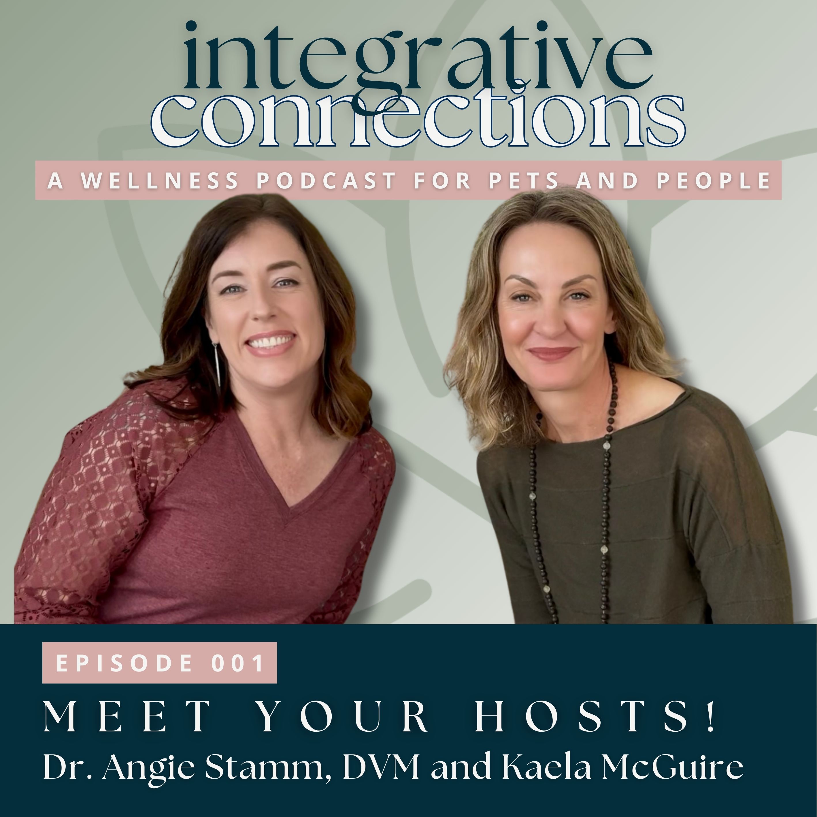 Integrative Connections