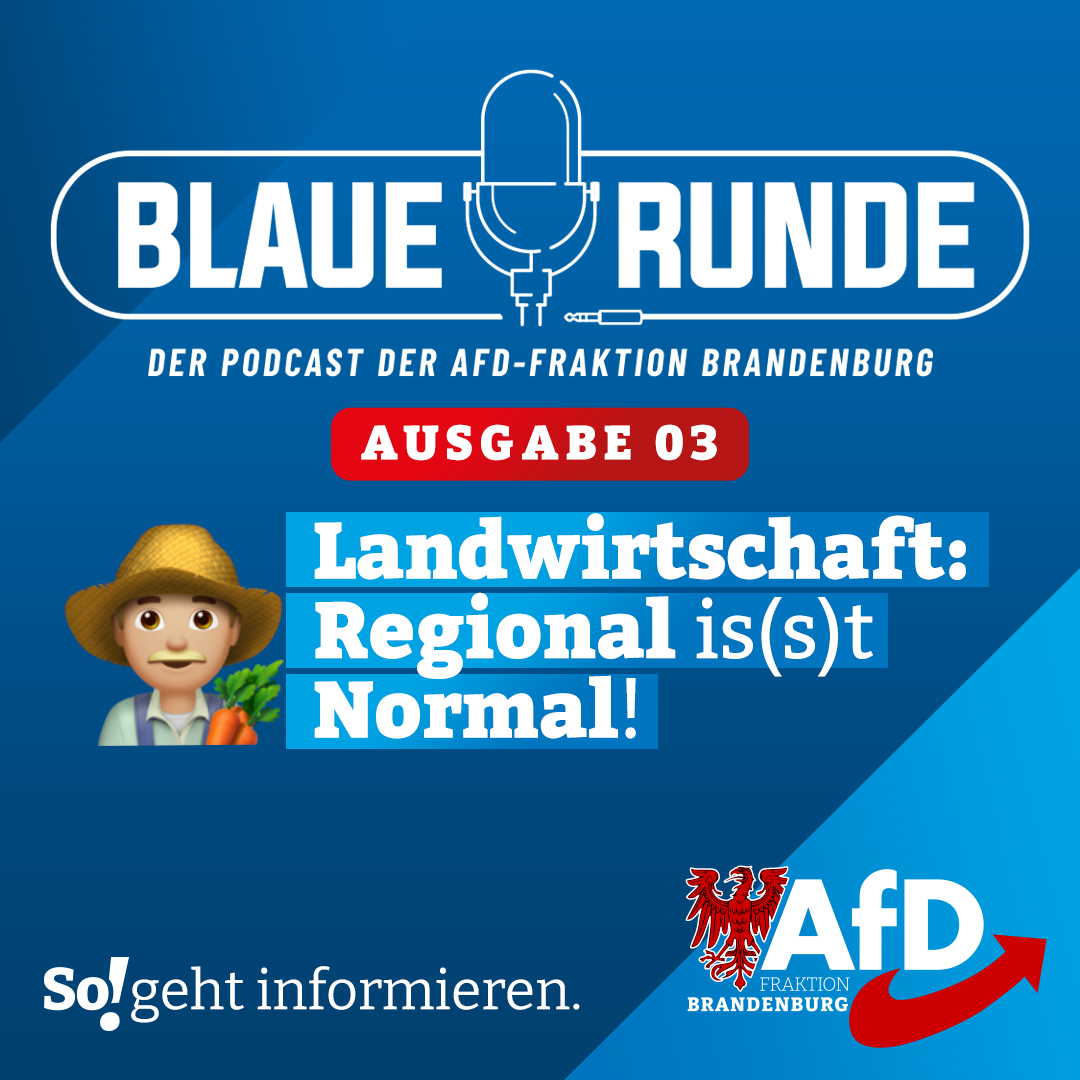 Die Blaue Runde - der Podcast der AfD-Fraktion Brandenburg