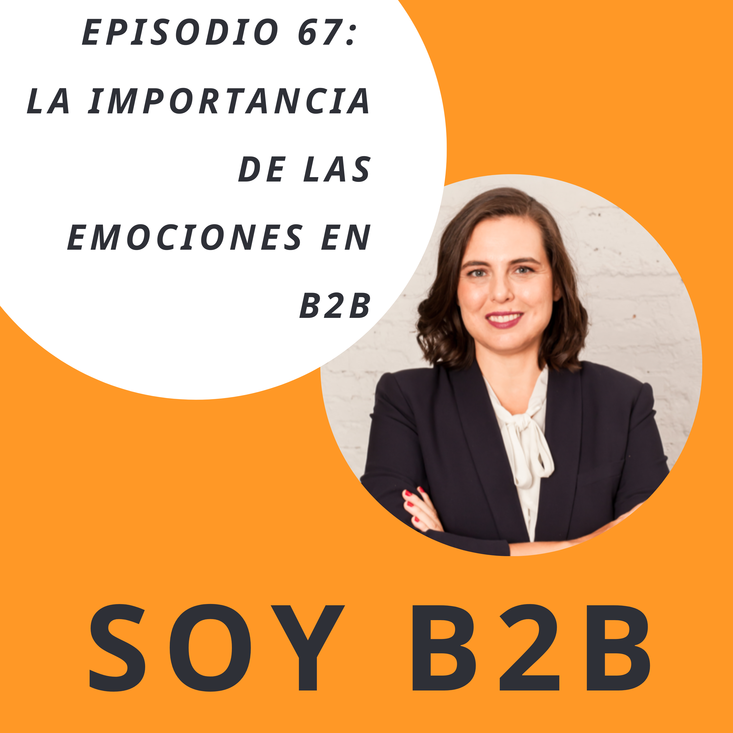 Soy B2B