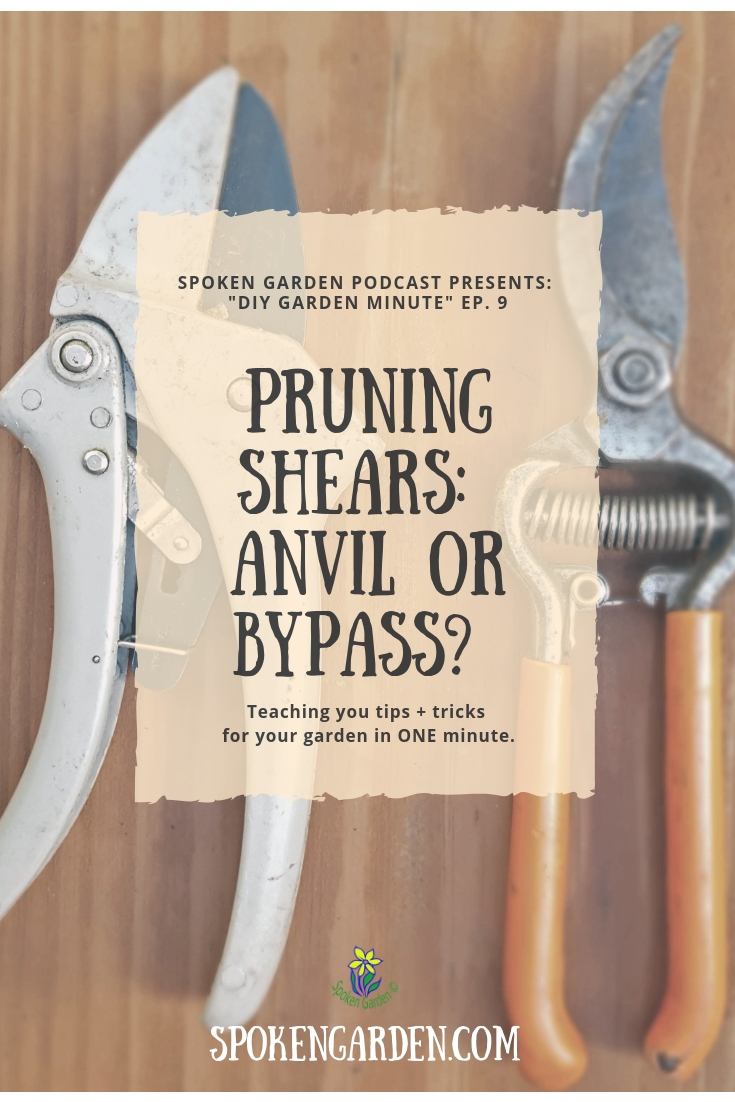 Anvil vs Bypass Pruning Shears - DIY Garden Minute Ep. 9