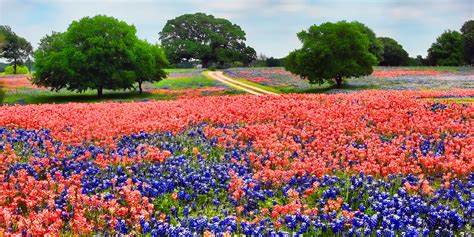 What is the Bible Cure for Anxiety? #337