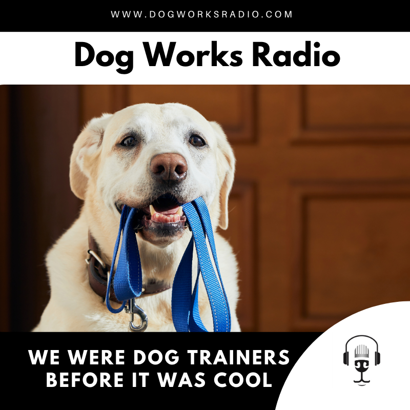 We Were Dog Trainers Before It Was Cool: What 30 Years in the Industry Has Taught Us