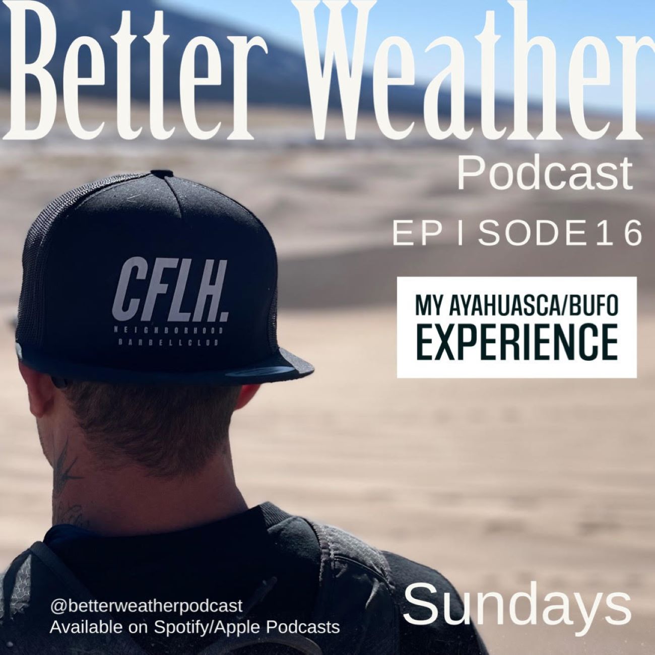 Episode 16: My Ayahuasca / Bufo experience