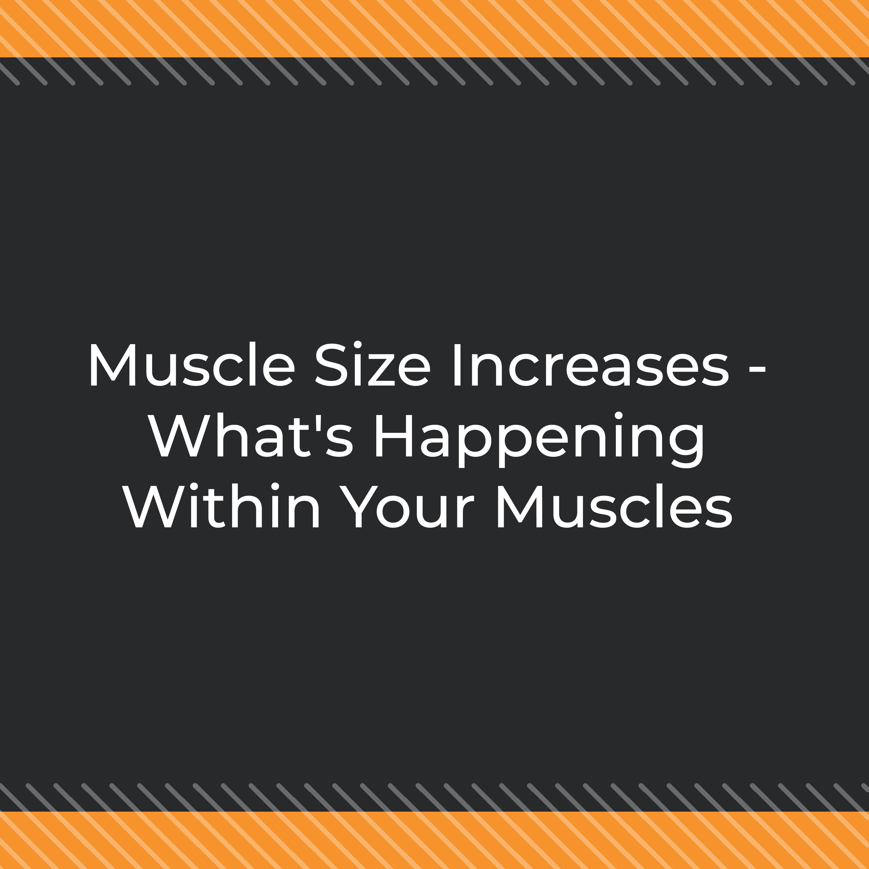 Strength Changes Everything - Video Edition