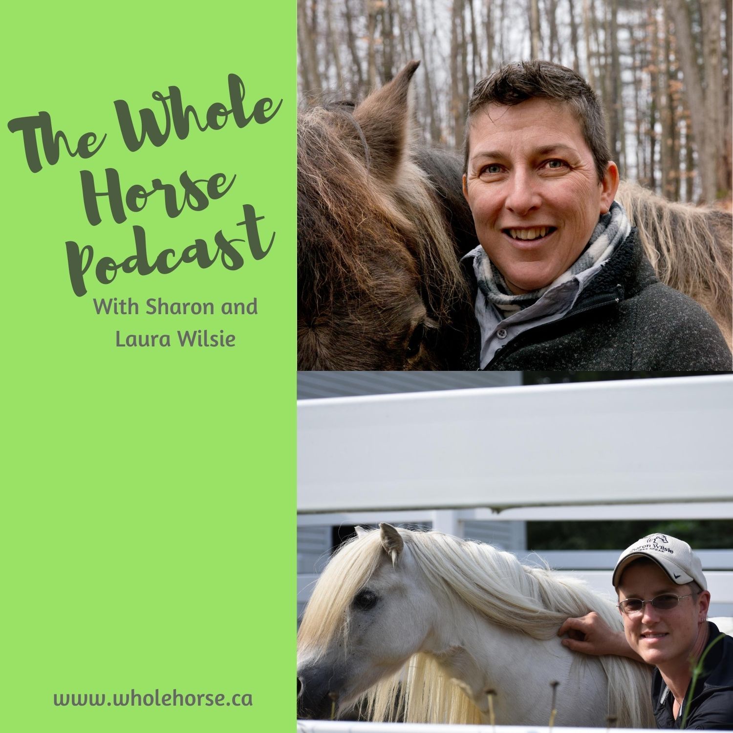The Whole Horse Podcast with Alexa Linton