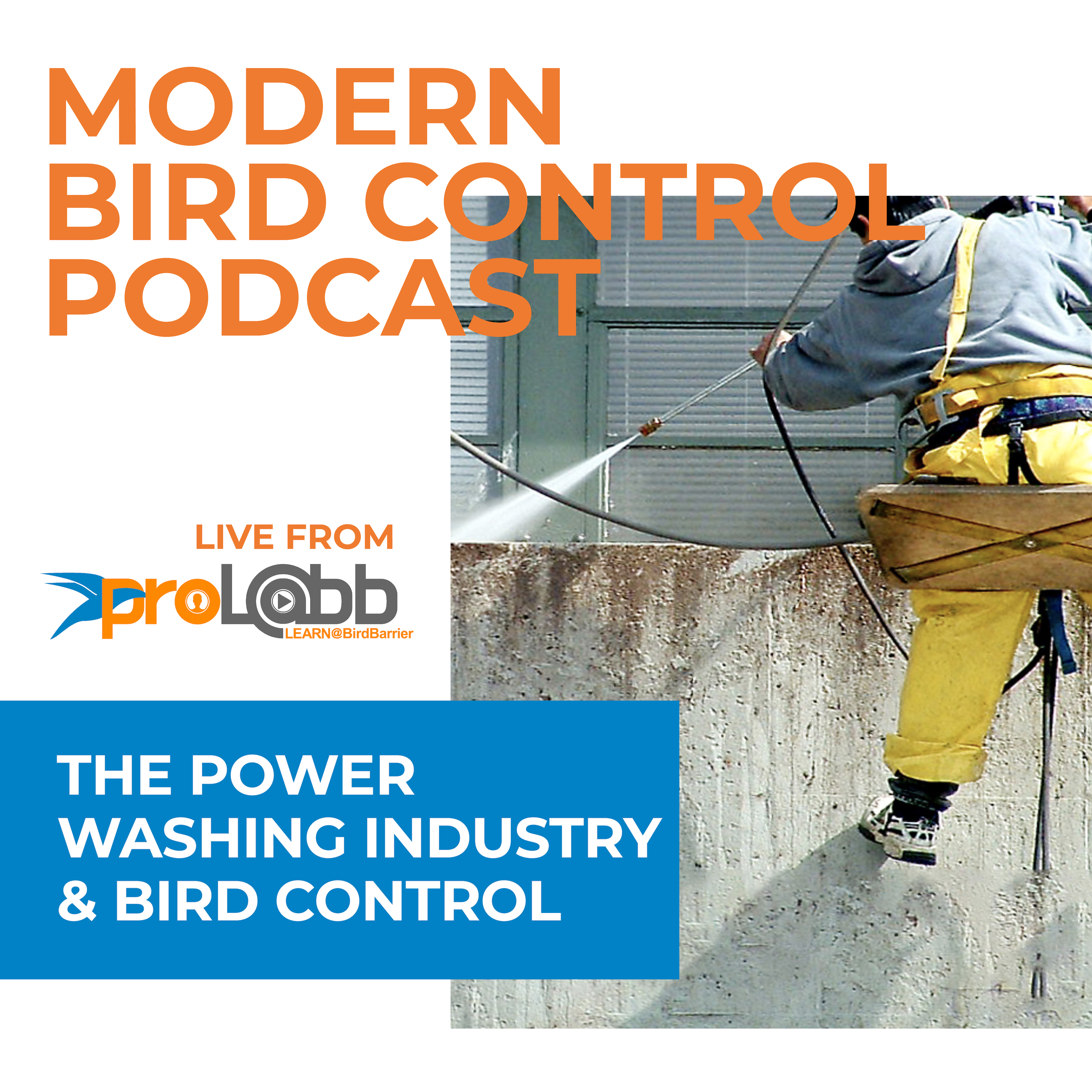 Episode: Power Washing & Bird Control