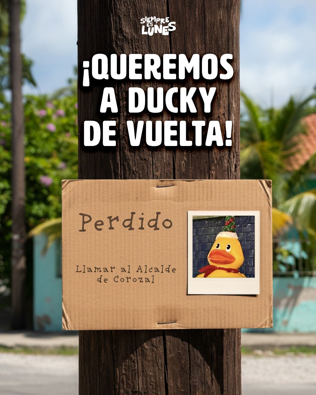 ¡Queremos a Ducky de vuelta!