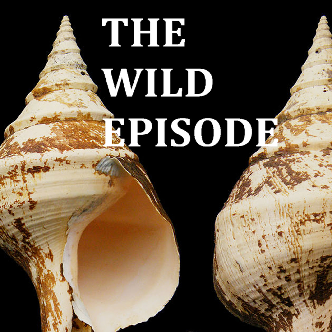The Wild Episode