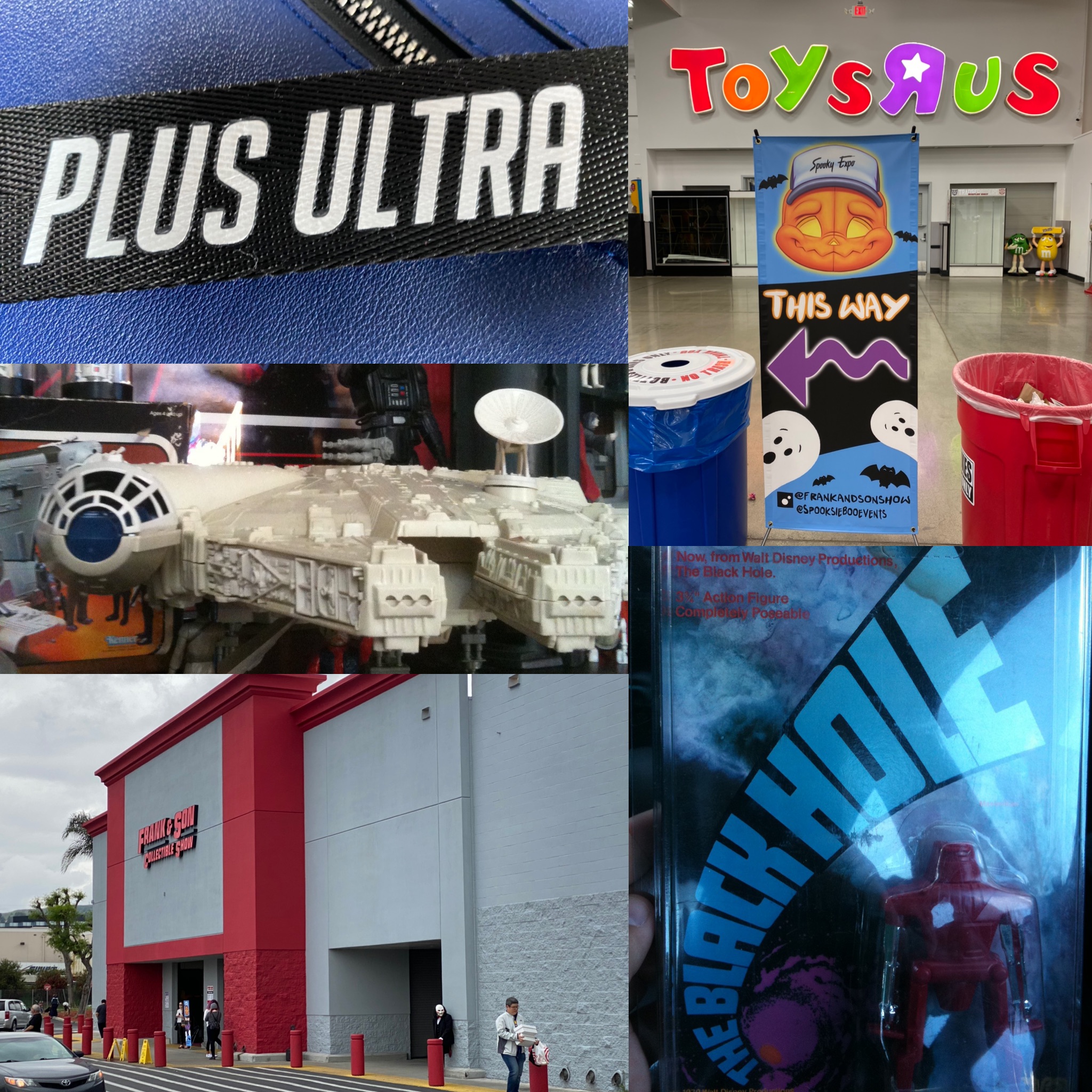 Episode 495 - Parks and Cons Changes, Spooky Expo, & Favorite Frank & Son Buys