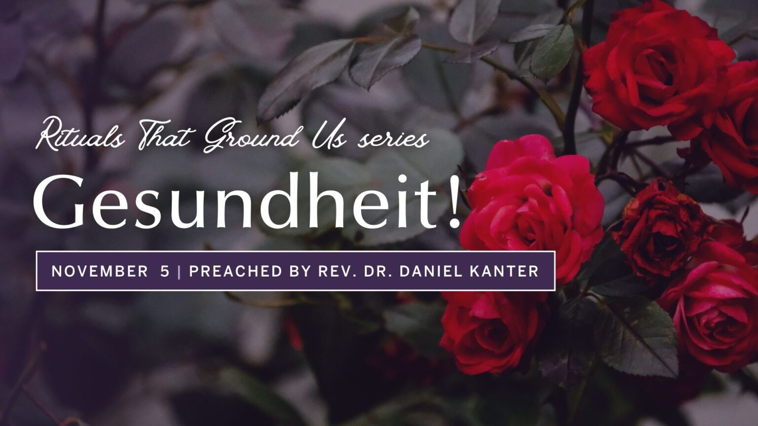 11.05.23 Sermon: Gesundheit! - Rev. Dr. Daniel Kanter