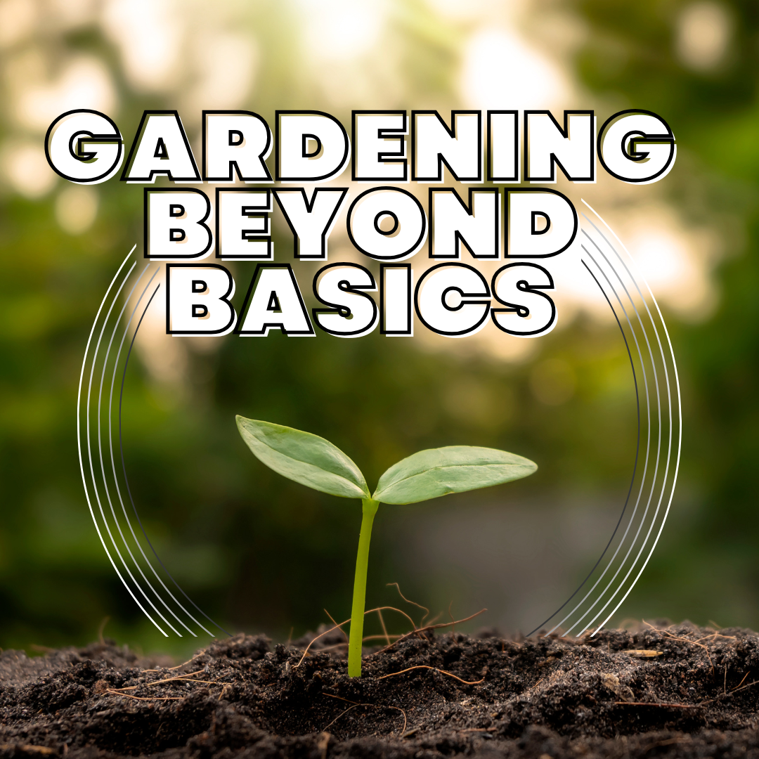 Practical Concerns on Biochar: Quality, Cost, Usage, and Alternatives - Gardening Beyond Basics E29