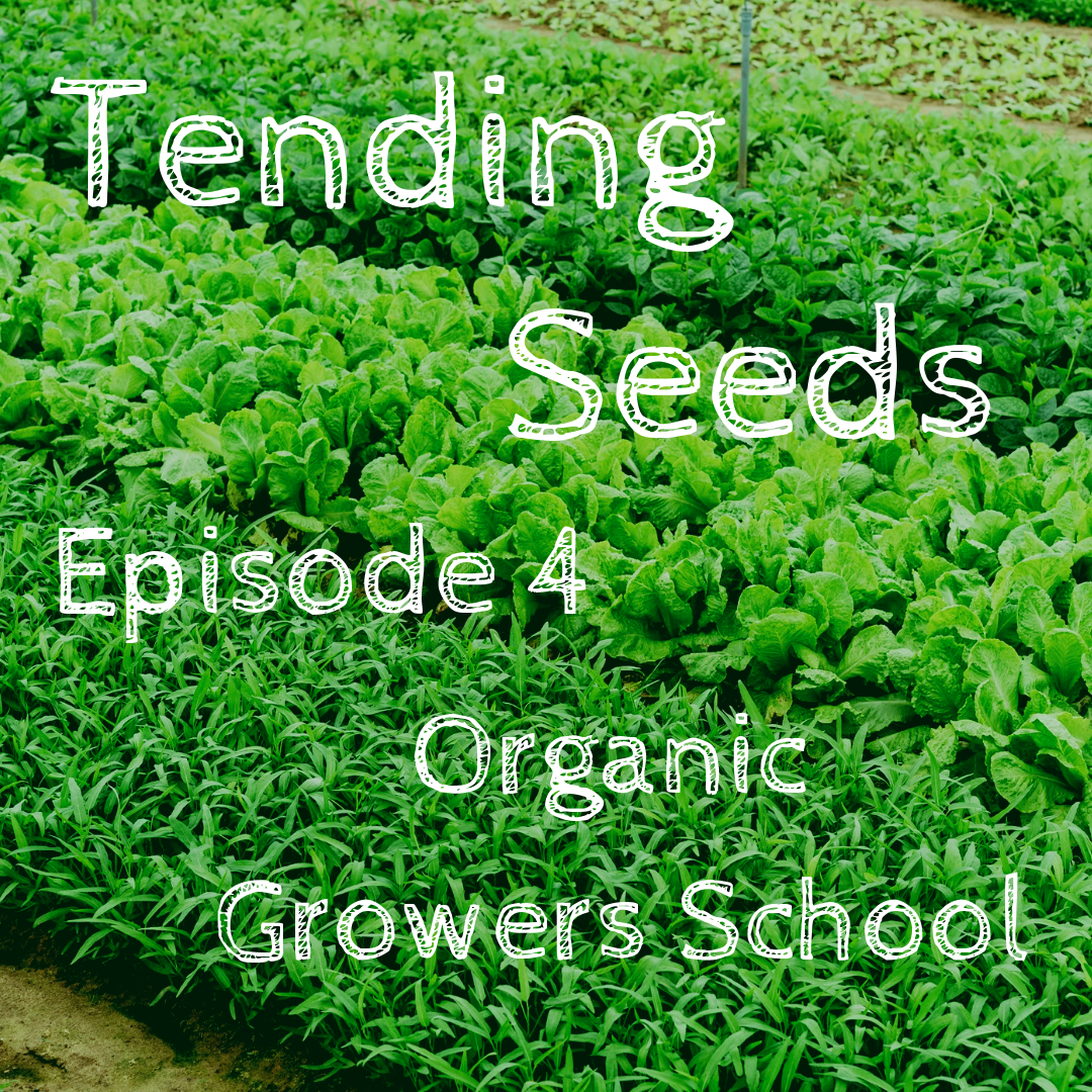 Tending Seeds: Adventures in Gardening, Homesteading, and Herbalism