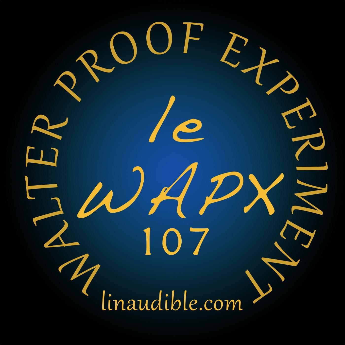 L\'Inaudible de Walter