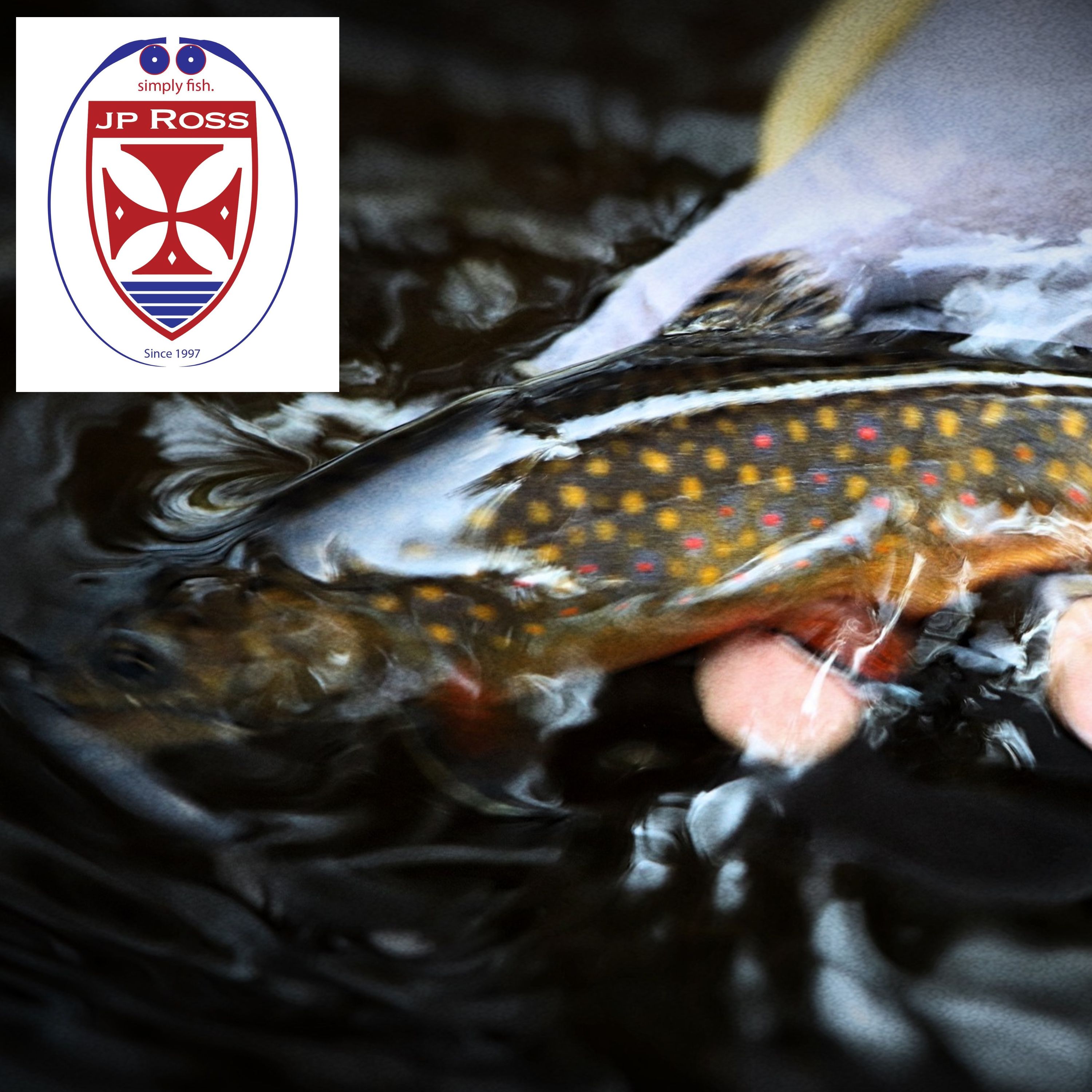 Off the Hook with MattyD