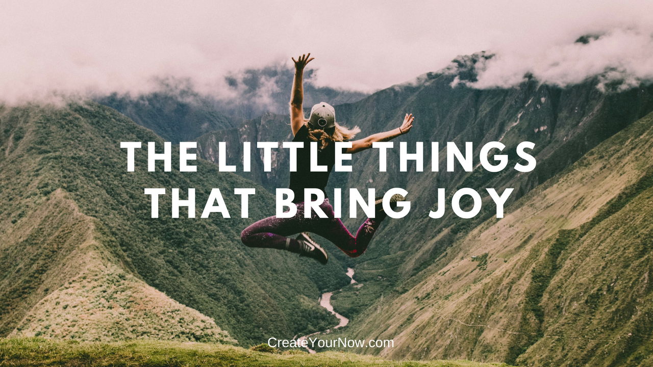 1298 The Little Things that Bring Joy