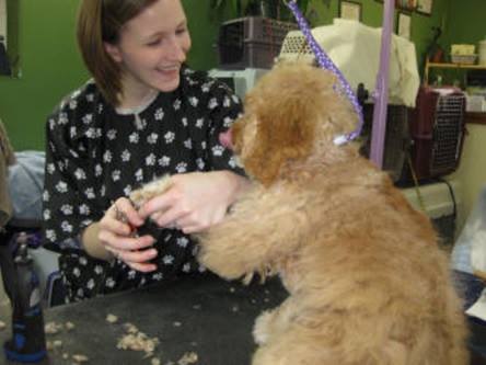 Everything is Awesome with Jeff and ?