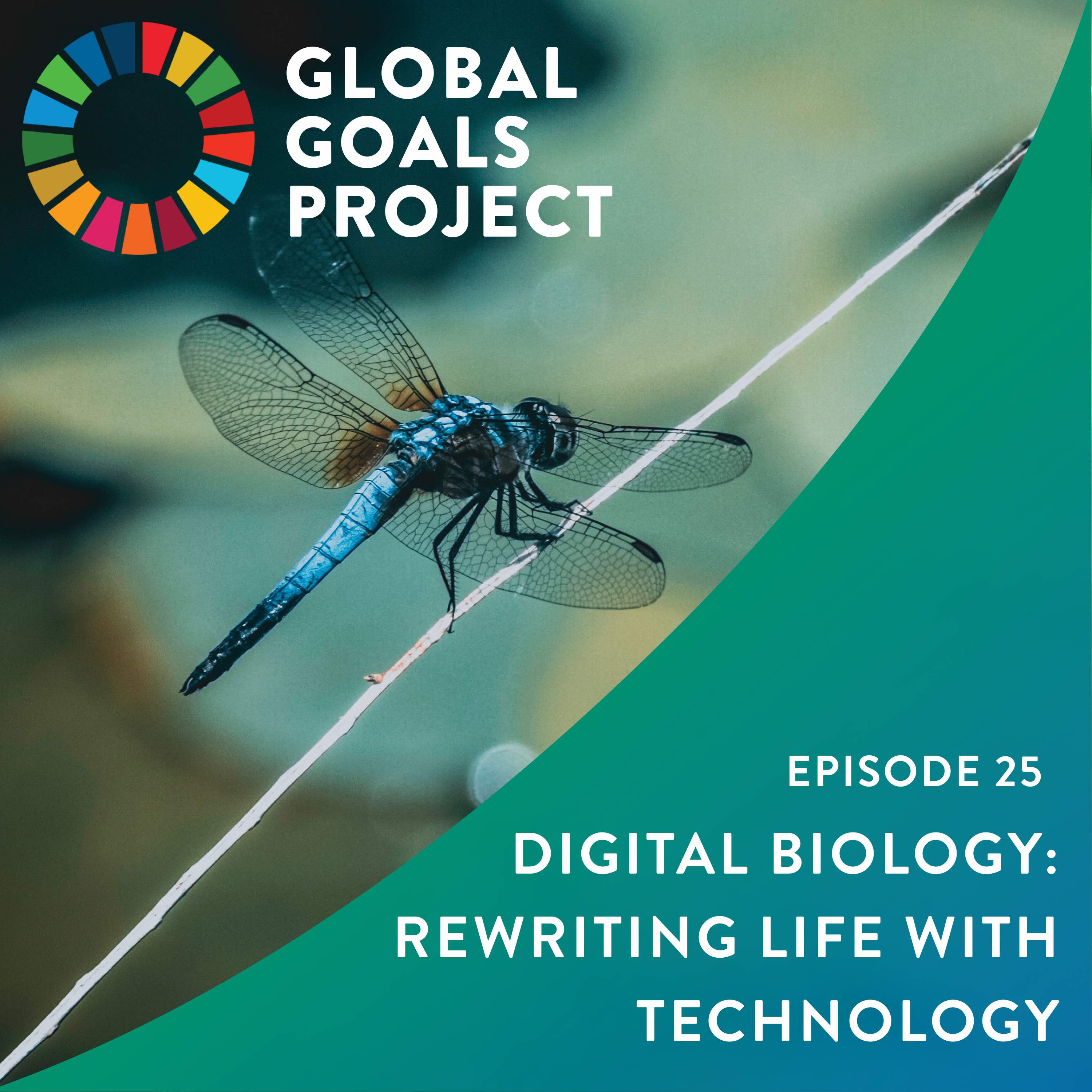 Global Goals Project