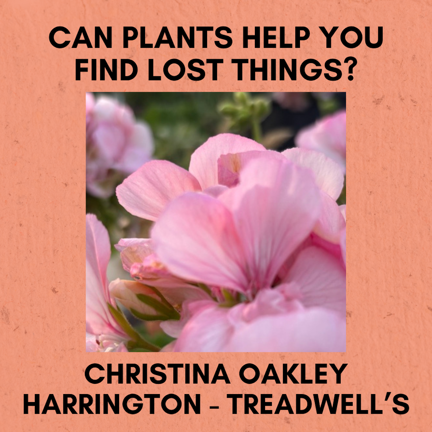 Episode 347: Can Plants Help You Find Lost Things?
