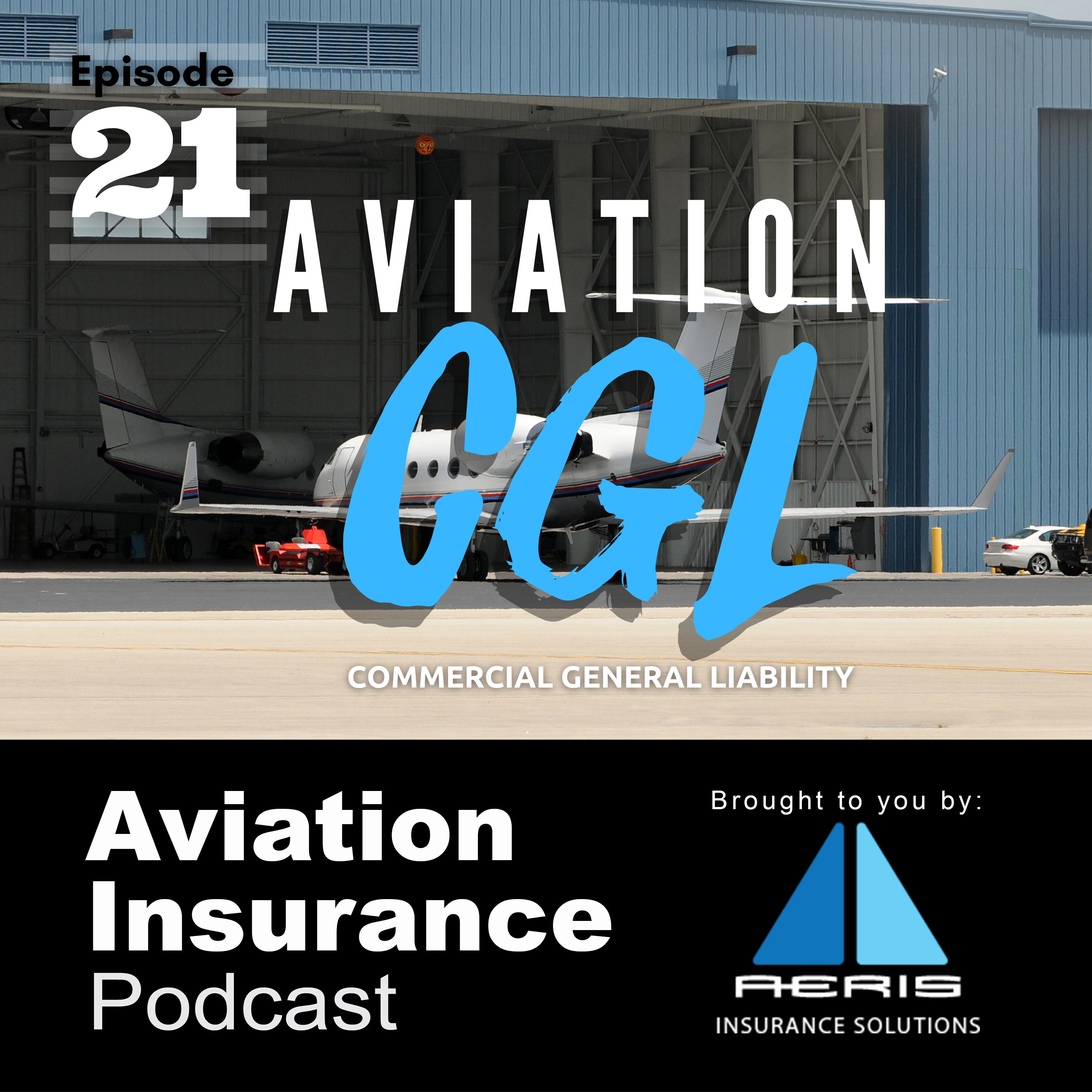 Episode 21: Aviation Commercial General Liability (CGL)