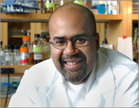 Viruses and Evolution Current Research on How Viruses Adapt with Paul Turner