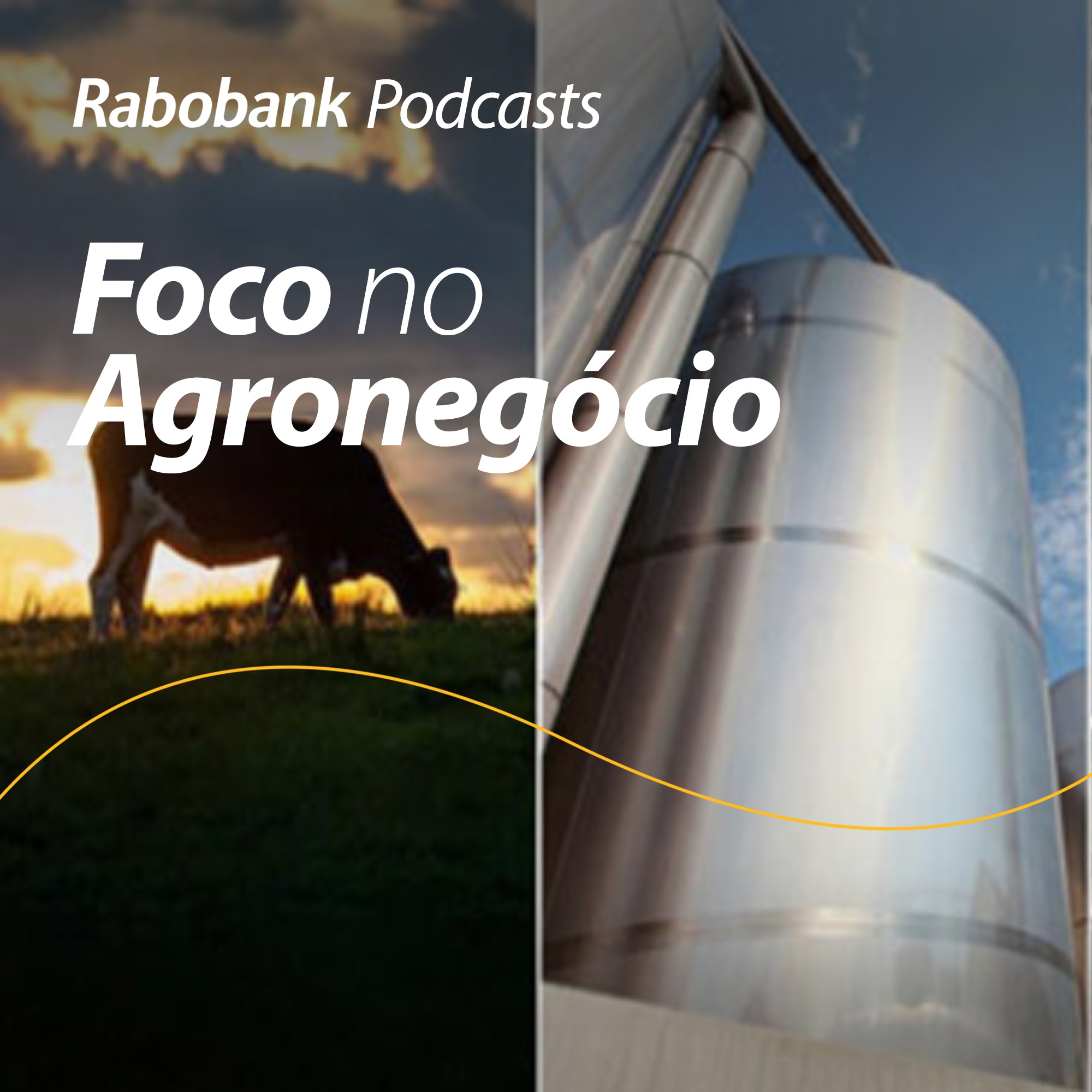 Foco no Agronegócio - Pesquisa Setorial