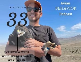 The Avian Behavior Podcast
