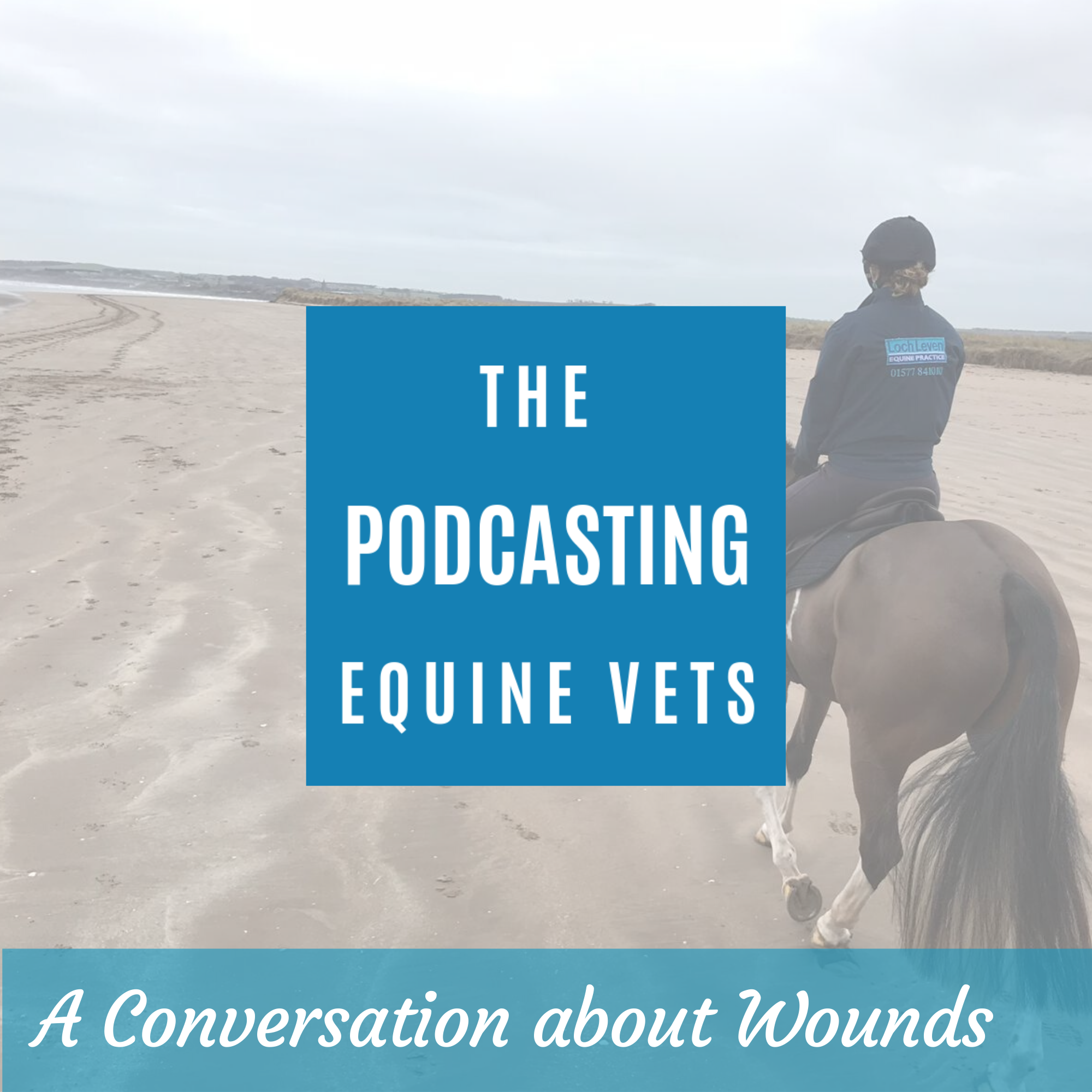 The Podcasting Equine Vets