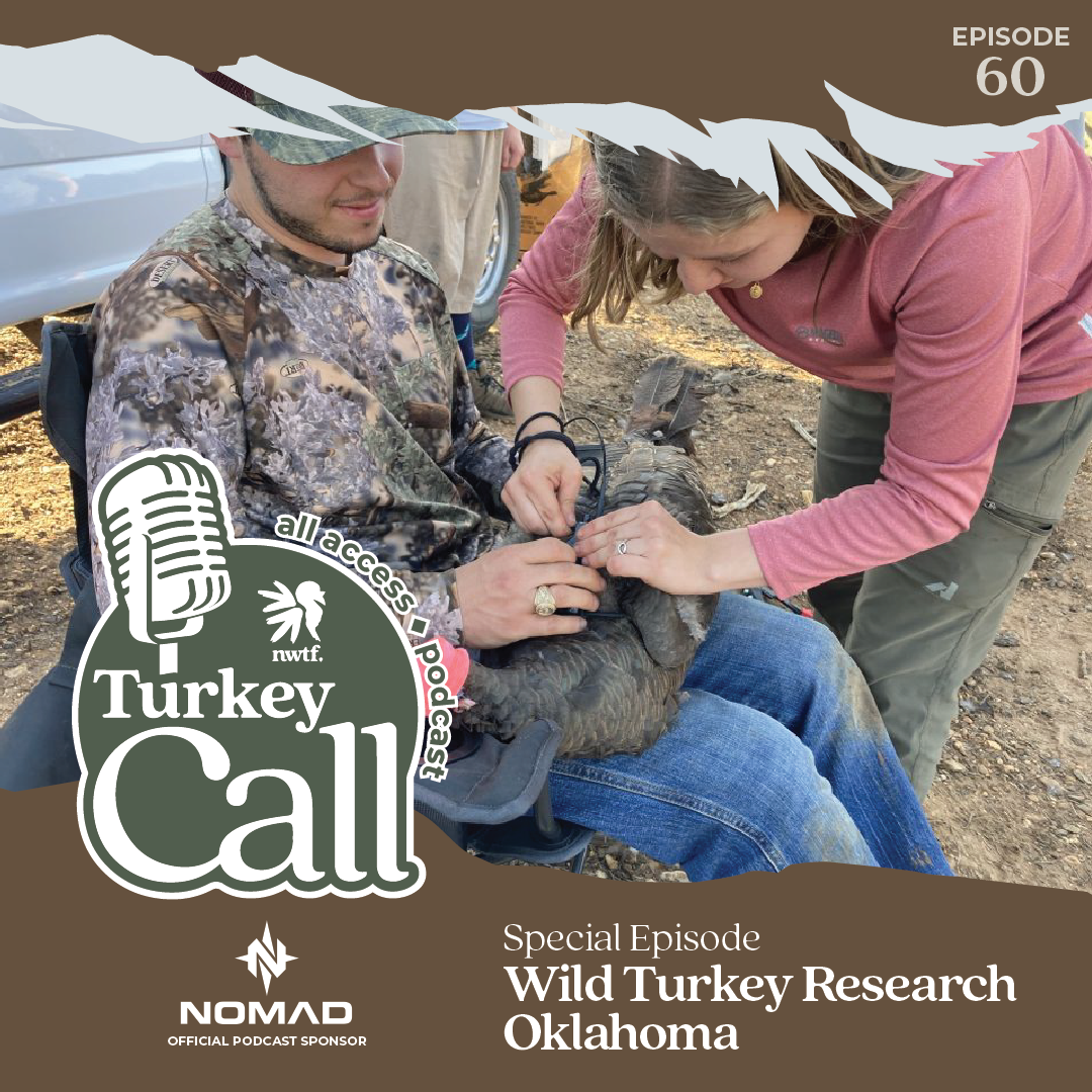 Turkey Call All Access