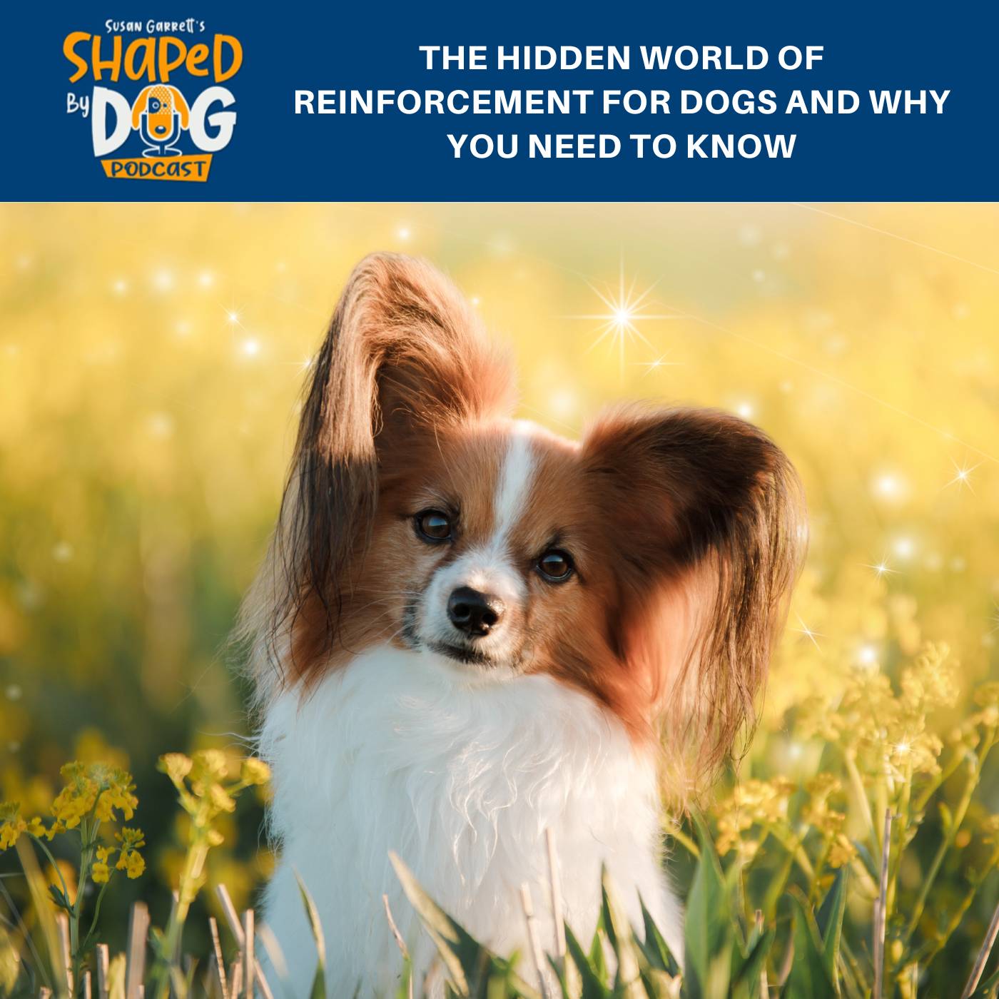 Shaped by Dog with Susan Garrett