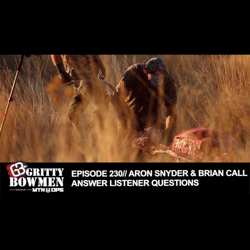 EPISODE 230: Aron Snyder & Brian Call Answer Listener Questions