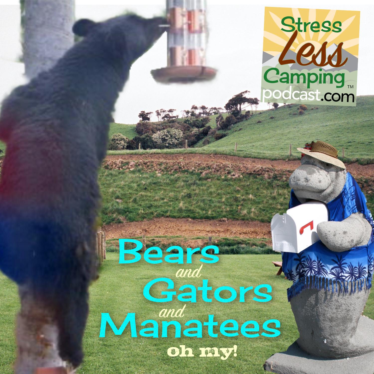 Bears and gators and manatees - oh my. Unique RVing experiences on two coasts.
