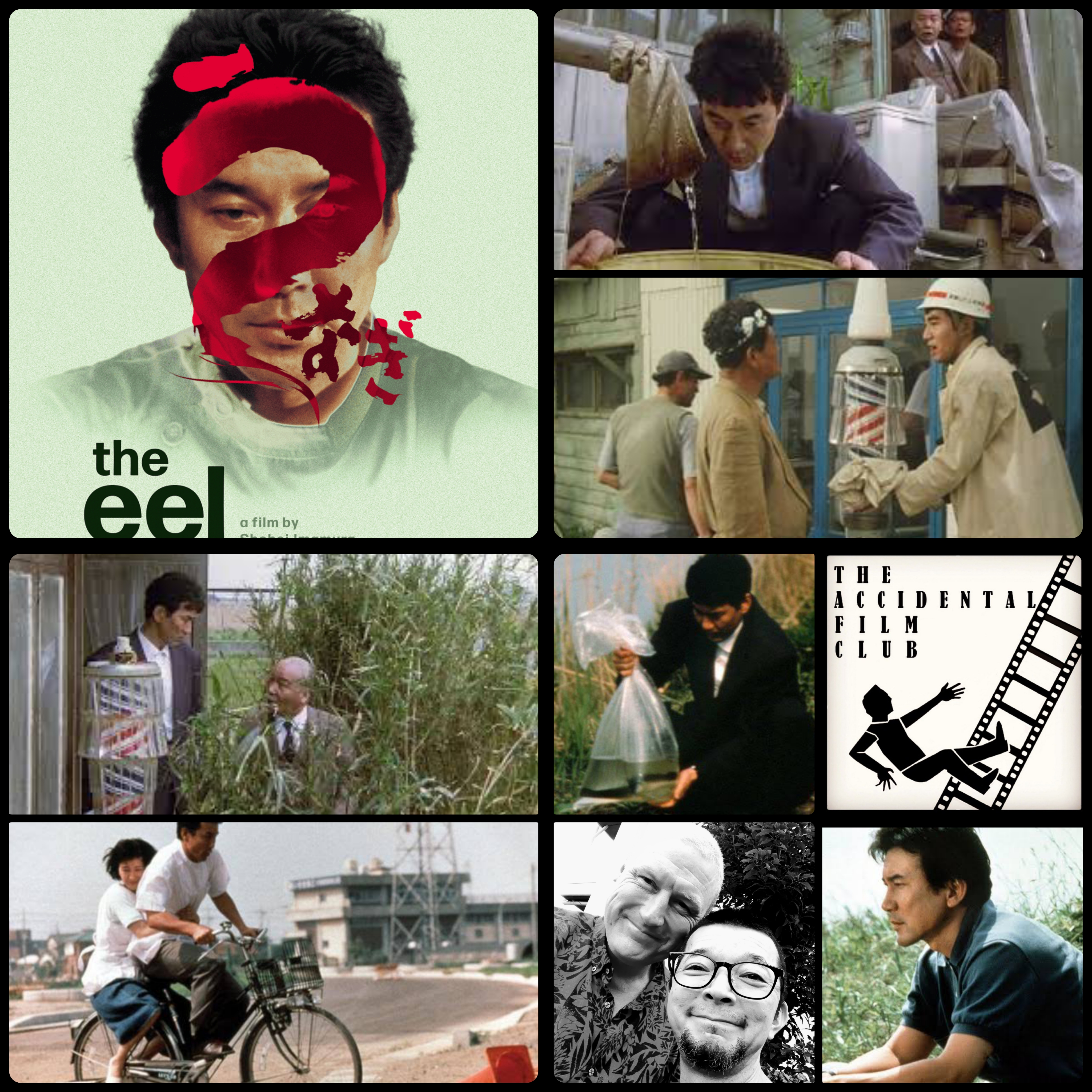 The Accidental Film Club