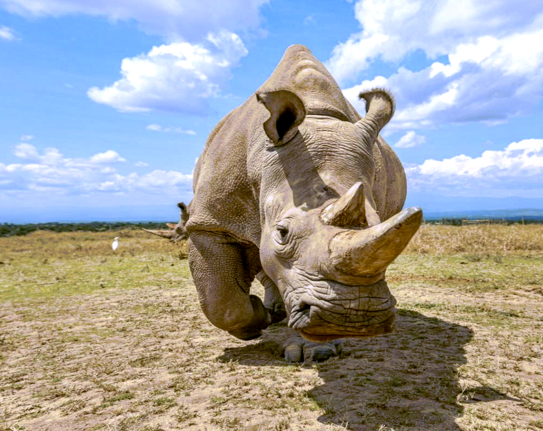 Adventure With Africa Kenya Safaris