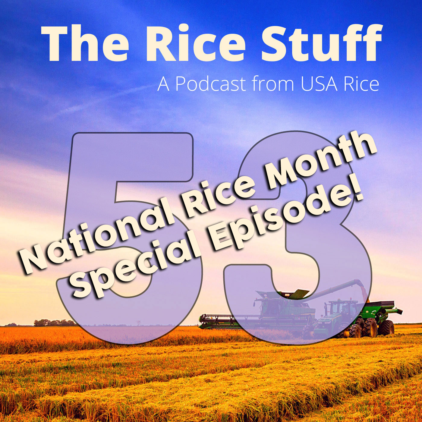 The Rice Stuff