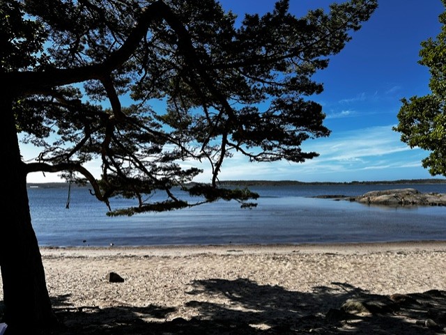 424. Herre jag vill leva nära dig