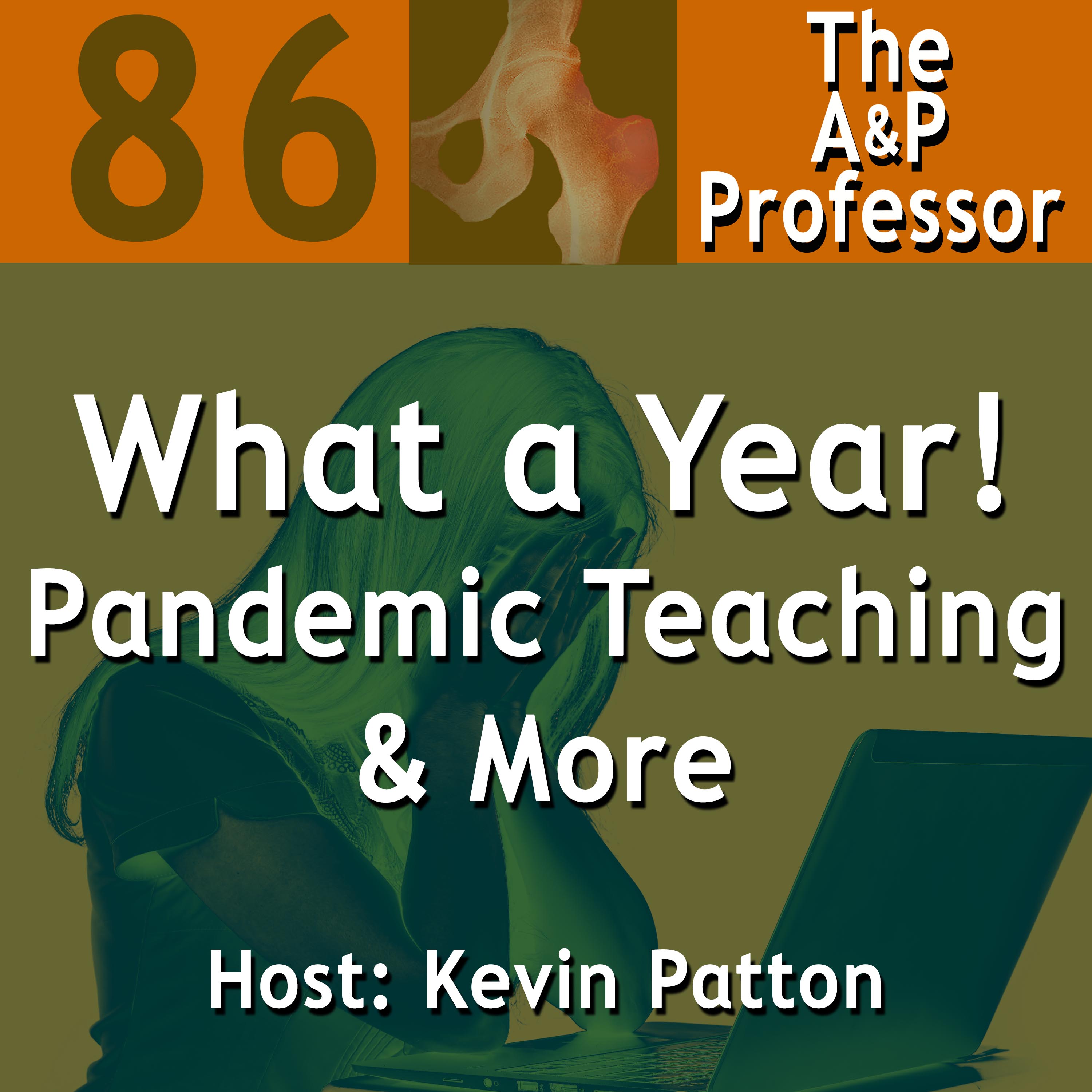 What a Year! | Pandemic Teaching & More | A Reflection | TAPP 86