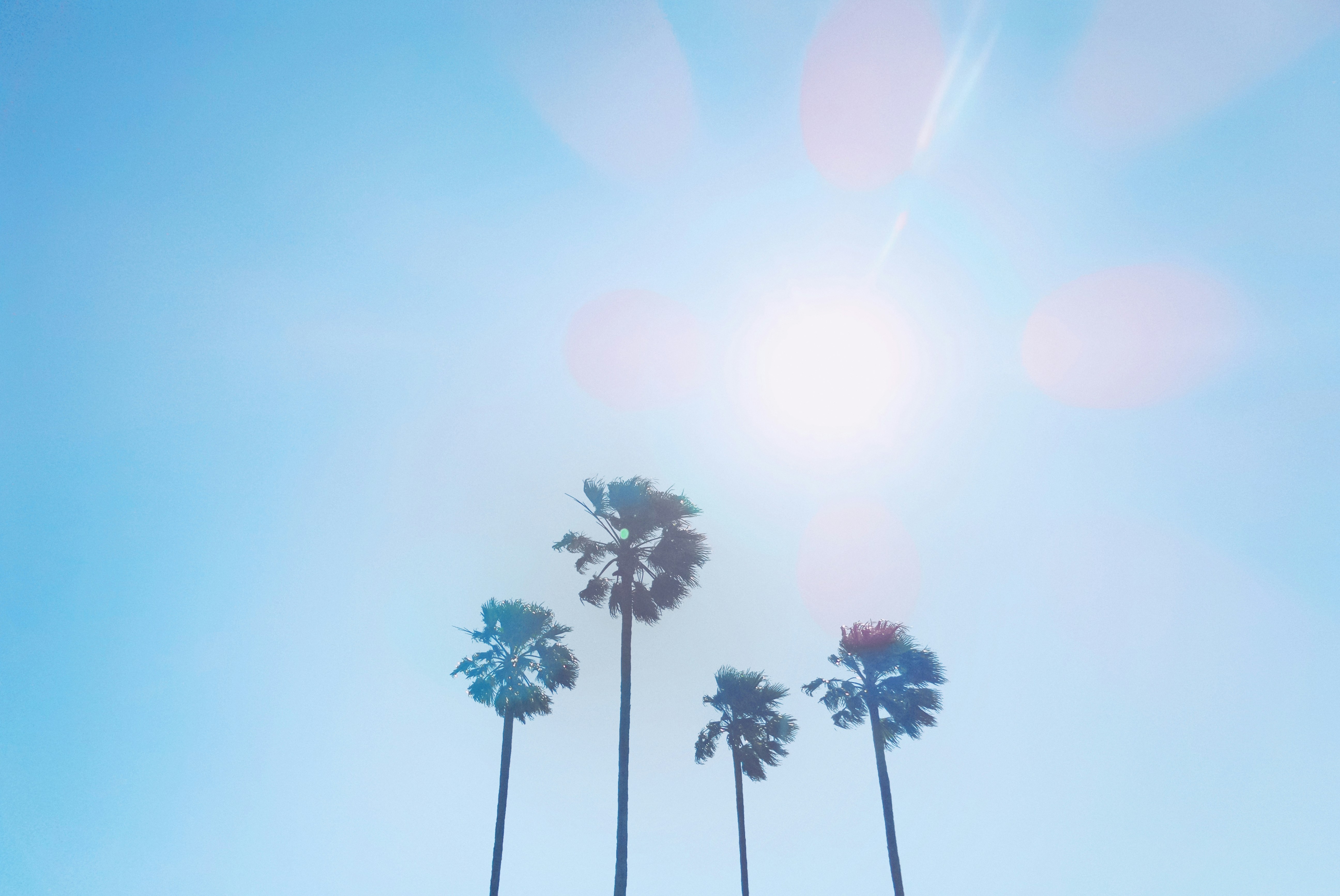 Hot Summer for Tech?