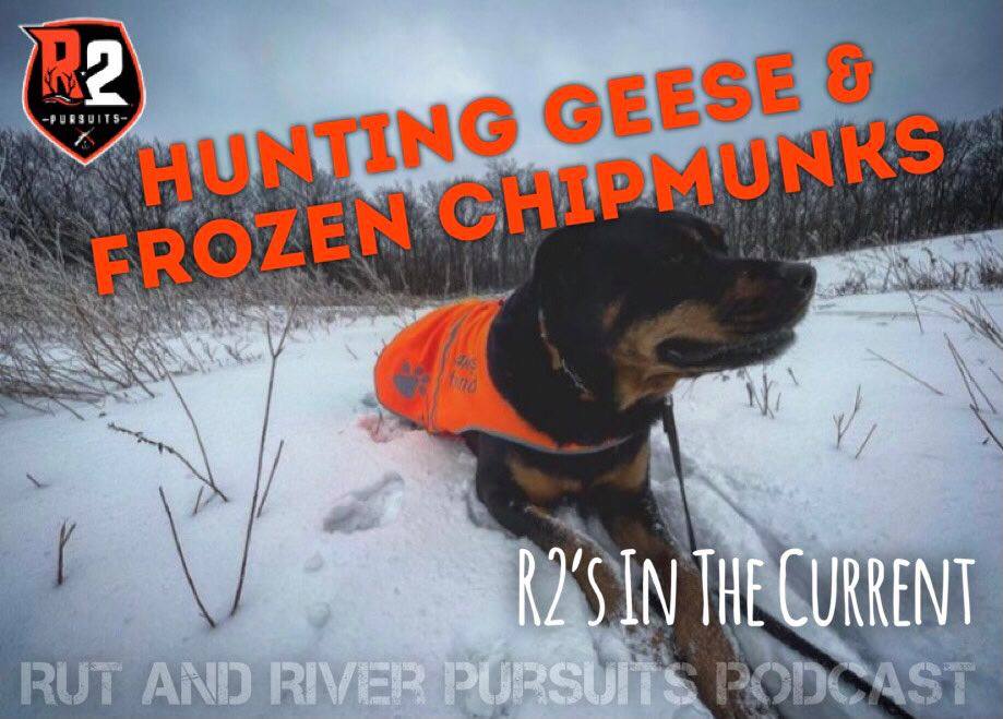 Hunting Geese & Frozen Chipmunks - R2's In The Current