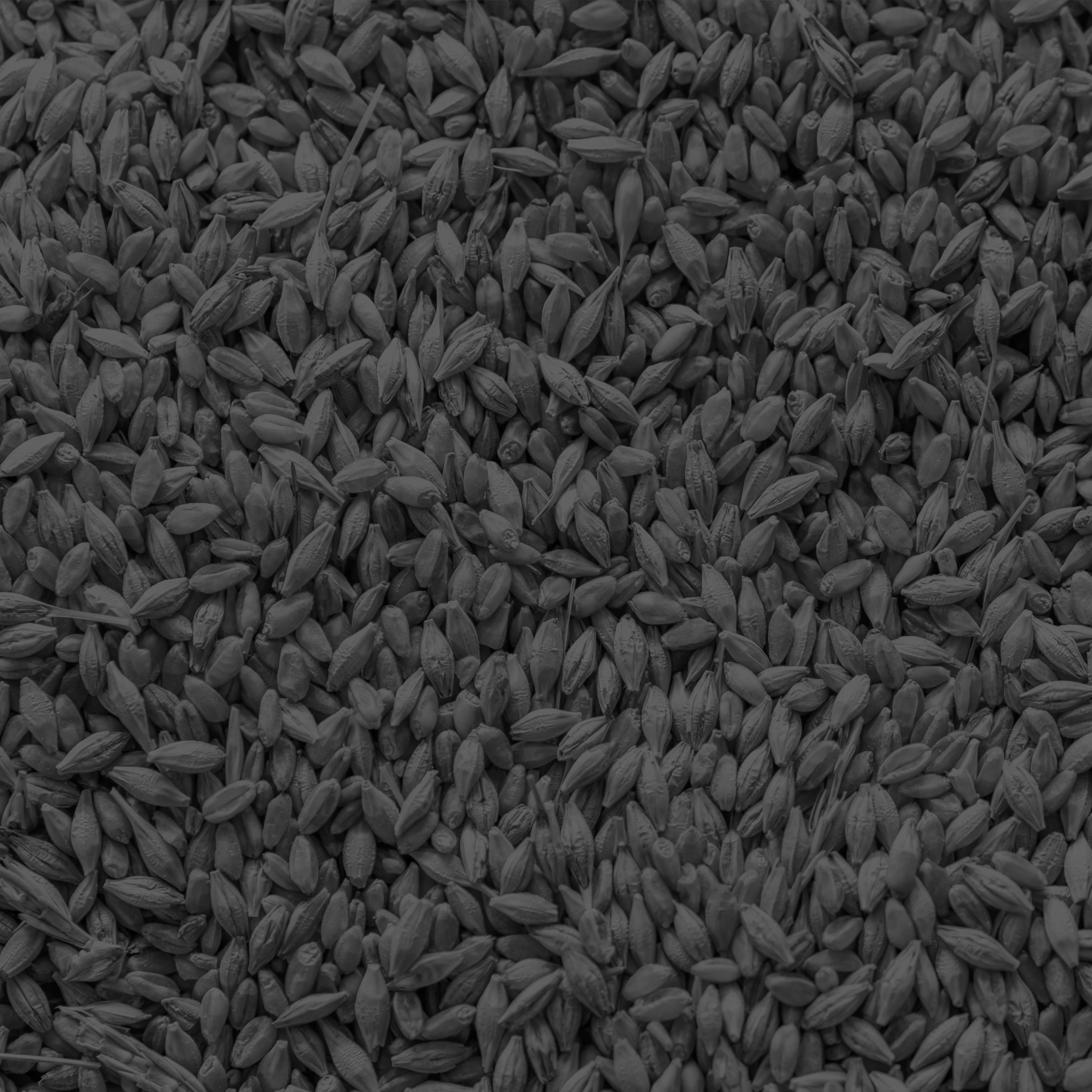 Bed Time Story: The Technical Categorization of Canadian Grain