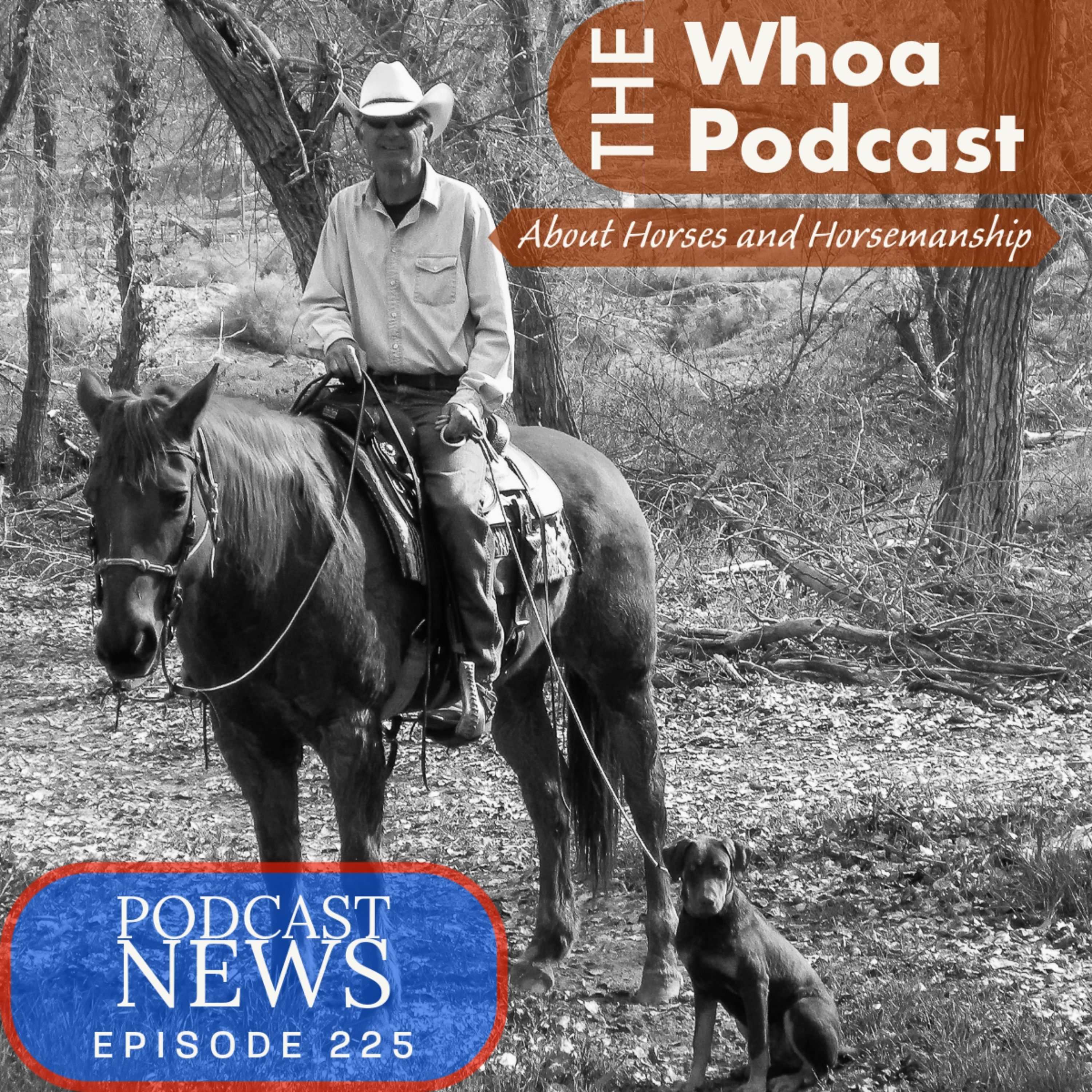 Ep. 225 Podcast News