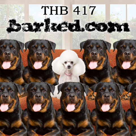 The Hate Bus Ep. 417: Barked.com