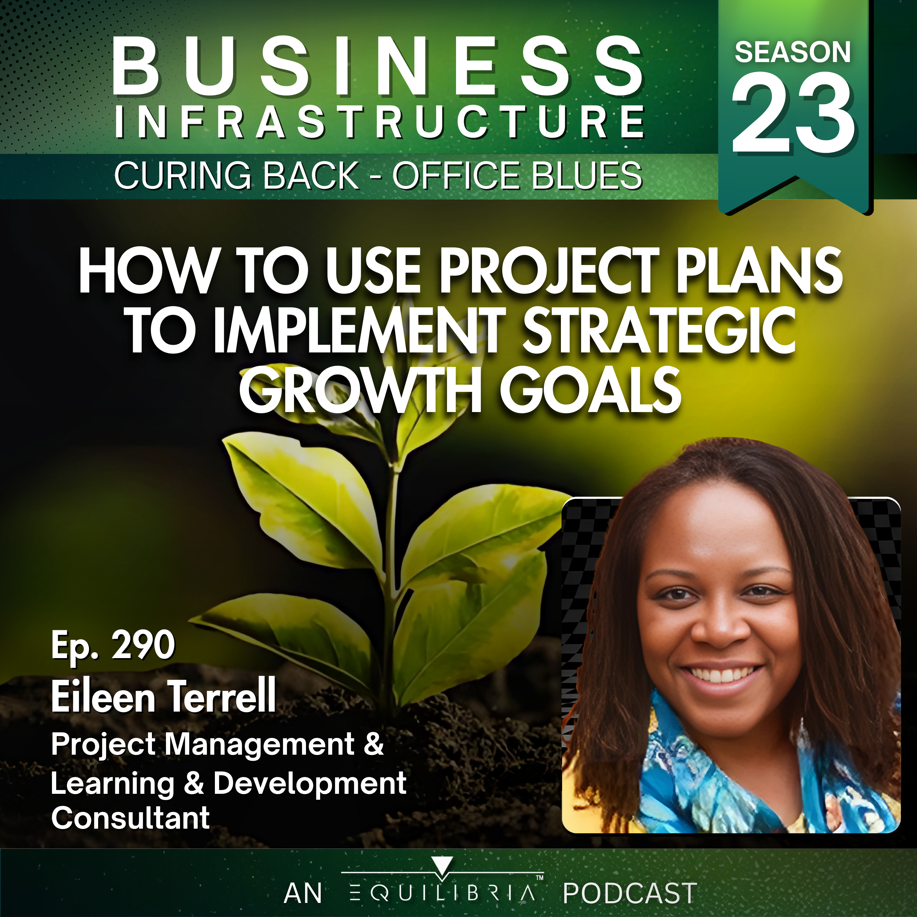 290: Eileen Terrell Explains How to Use Project Plans to Implement Strategic Growth Goals