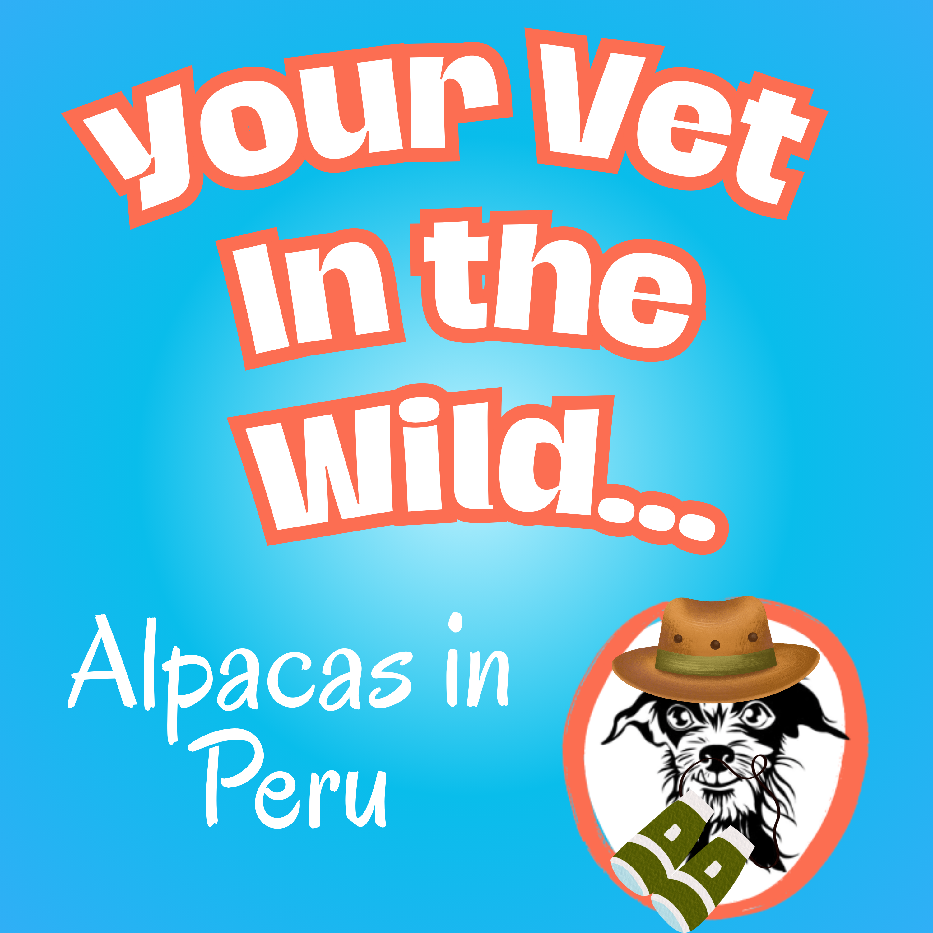 Your Vet Wants You to Know