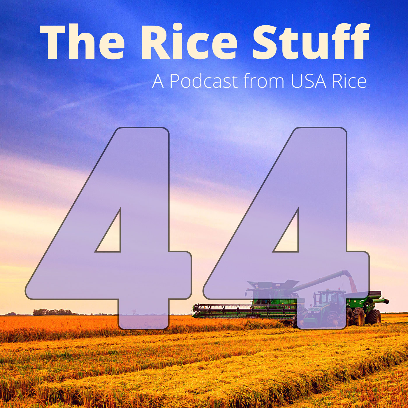 The Rice Stuff