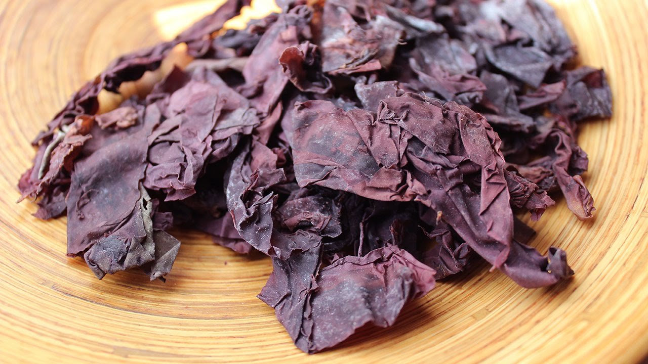 CAN DULSE HELP THYROID FUNCTION?  A HOLISTIC FUNCTIONAL MEDICINE APPROACH CAN DULSE HELP THYROID FUNCTION?  A HOLISTIC FUNCTIONAL MEDICINE APPROACH
