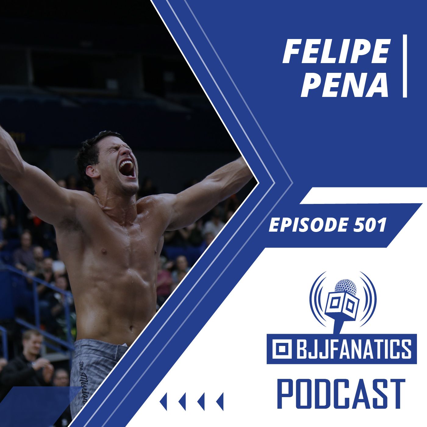 The BJJ Fanatics Podcast