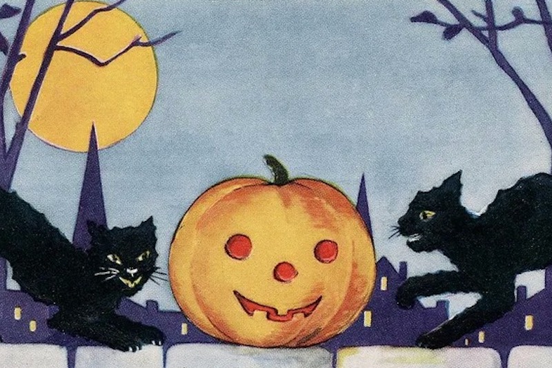 Episode 207 - Black Cats, Halloween, & Devils