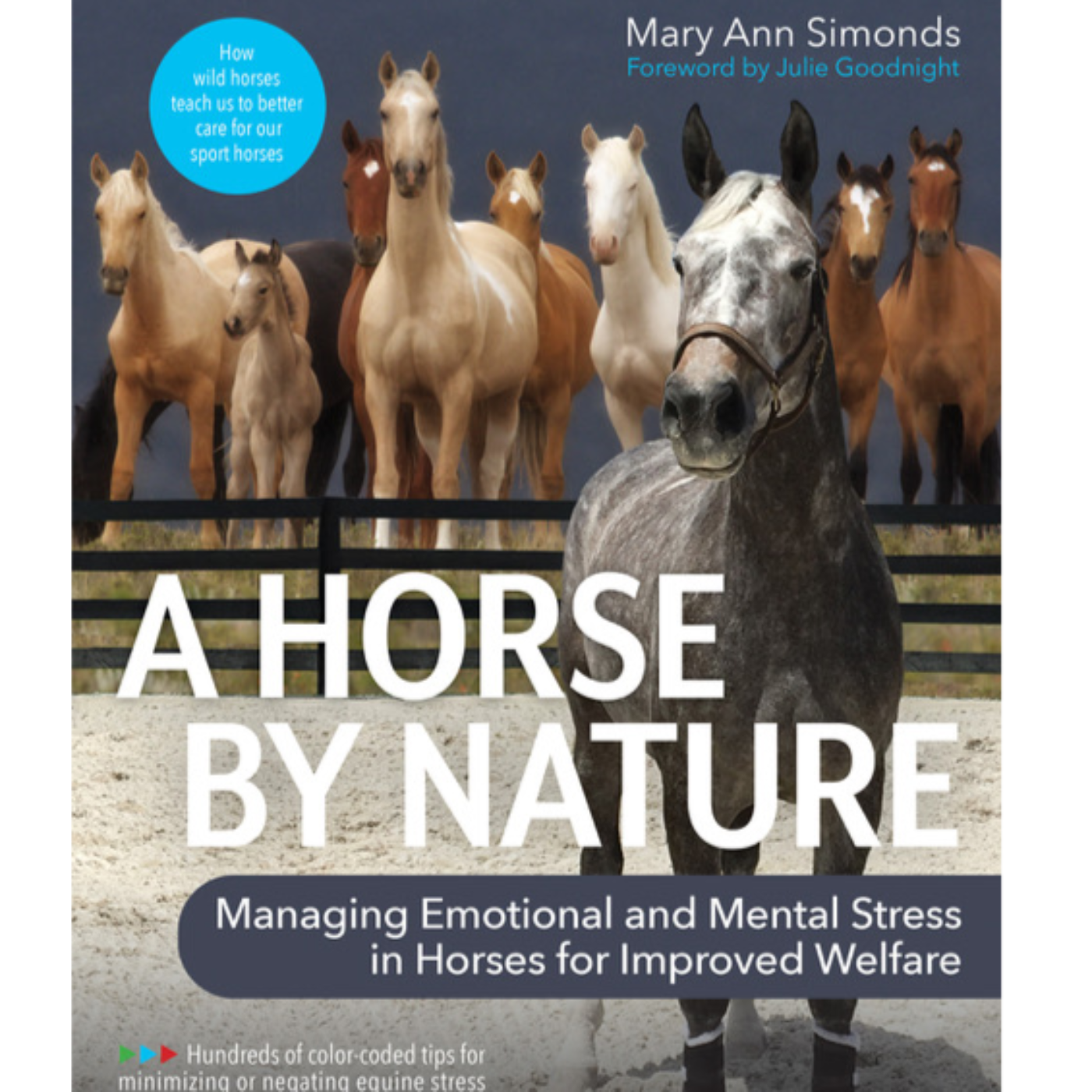 Mary Ann Simonds: Horse-human interactions and communication