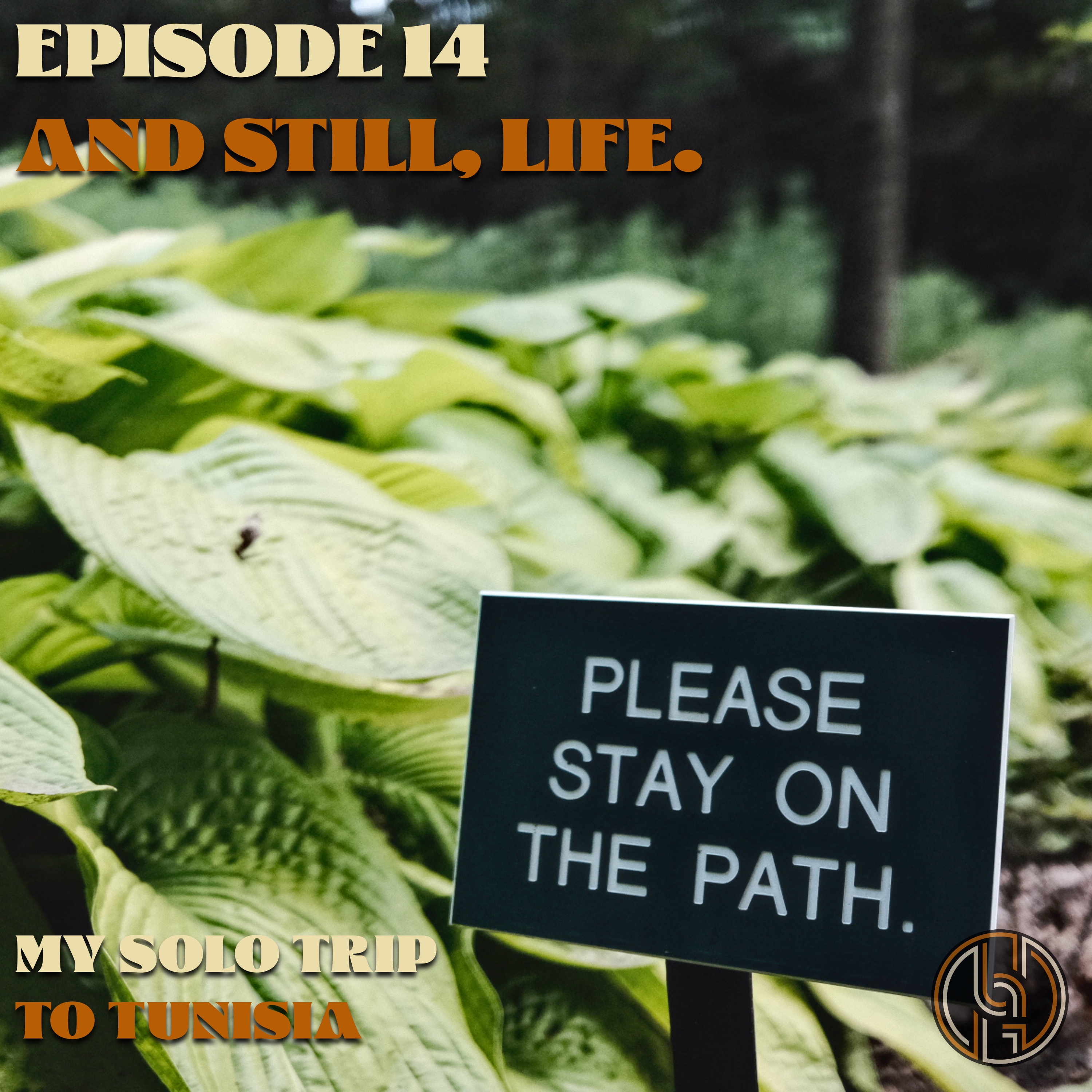 Episode 14 — And Still, Life | My Solo Trip to Tunisia